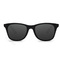 Солнцезащитные очки TS Traveler STR004-0120